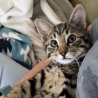 Photo of Fred