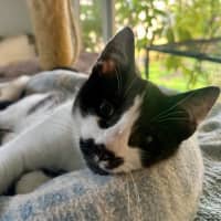 Photo of Kung Fu Panda