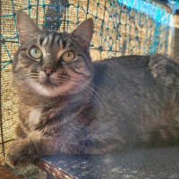 Photo of Gaia