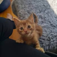 Photo of 🧡 G A R Y 🧡