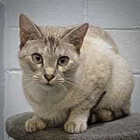 Photo of Missy