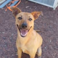 Photo of Lexie
