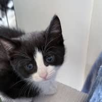 Photo of Addy 🌸🌸