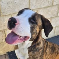 Photo of Bingo