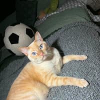 Photo of Biscuit And Raul 