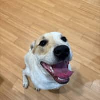 Photo of Daisy 