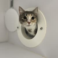Photo of Mimi