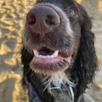 Photo of Khai Illingworth