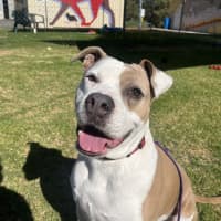 Photo of Mia