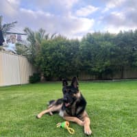 Photo of Tank