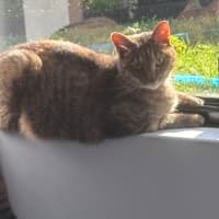Photo of Tully