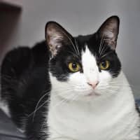 Photo of Luna