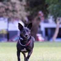 Photo of Basil Moriarty