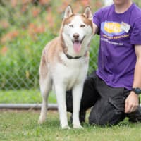 Photo of Hunter