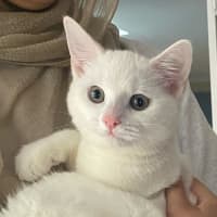 Photo of Pokey 