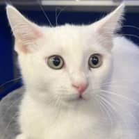 Photo of Cloud