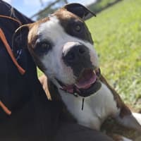 Photo of Tank