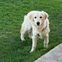 Photo of Butter