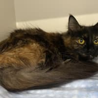 Photo of Esmeralda