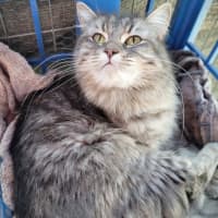 Photo of Evangeline 