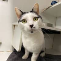 Photo of Kiki