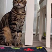 Photo of Oscar