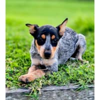 Photo of Wiggle 