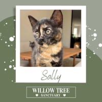 Photo of Sally