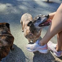 Photo of Tiny And Shorty 💜
