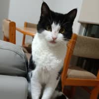 Photo of Eleanor