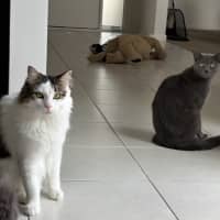 Photo of Nori & Nina