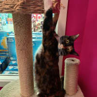 Photo of Mumma Patti 