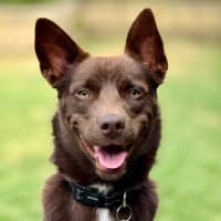 Photo of Max Brenner 🍫 