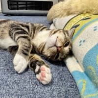 Photo of Wednesday 💕