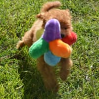 Photo of Esther