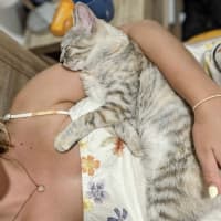 Photo of Willow & Dream 