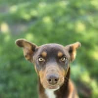 Photo of Max