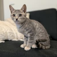 Photo of Beanz