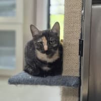 Photo of Miss Pink (0197)