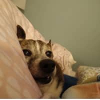 Photo of Sunny And Pj 