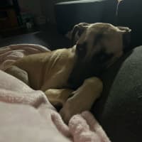 Photo of Marcel (Max)