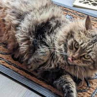 Photo of Felicity 🌹