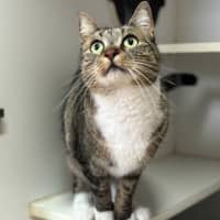Photo of Lilly