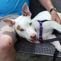 Photo of Marla