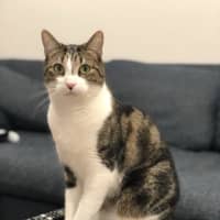 Photo of Lemon (Fka Leicester)