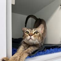 Photo of Mia