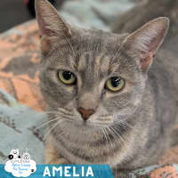 Photo of Amelia
