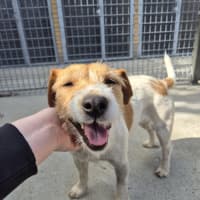 Photo of Aggie! 🌻