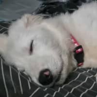 Photo of Kammy