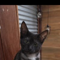 Photo of Wednesday